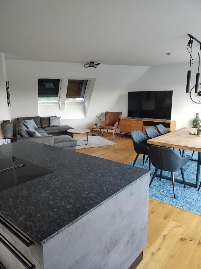 Luxurioeses Penthouse Mit Blick Auf Die Uno-City Und Dem Kaiserwasser. 3Schlafzimmer, 2 Baeder, Privat Lift Ins Apartment Viena Exterior foto